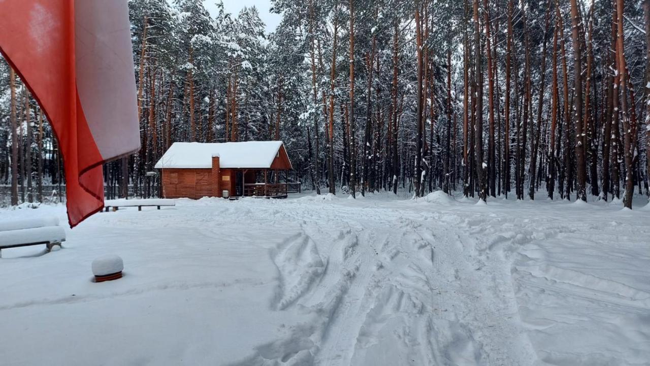 Domki W Sosnowym Lesie Rembow Exterior foto