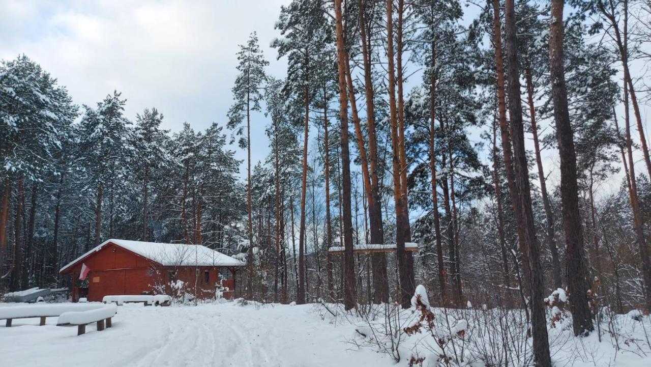 Domki W Sosnowym Lesie Rembow Exterior foto